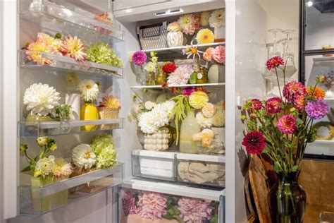 does keeping flowers in the refrigerator spark curious conversations about preserving nature's beauty in unconventional ways?