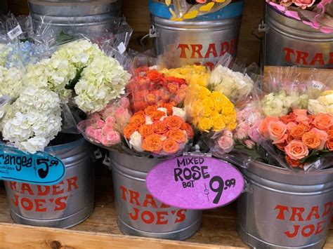 how much do flowers cost at Trader Joe's: Exploring the Floral Wonders and More Beyond Pricing