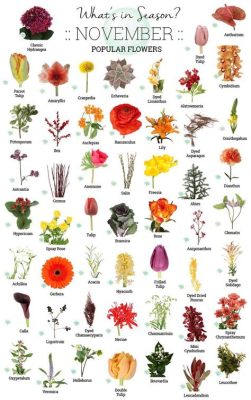 what flowers are in season in november