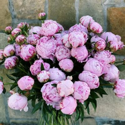 where to buy peony flowers: Exploring the Nuances of Finding the Perfect Bloom Amidst Various Venues